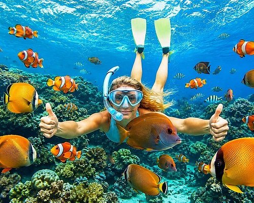 Scuba Diving