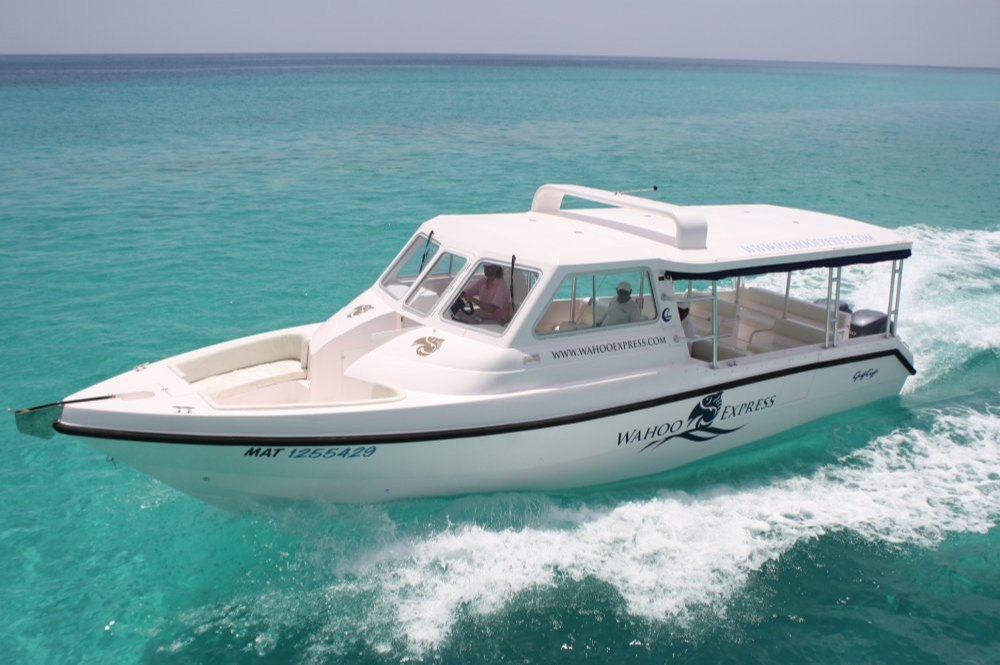 Small Ship Cruises